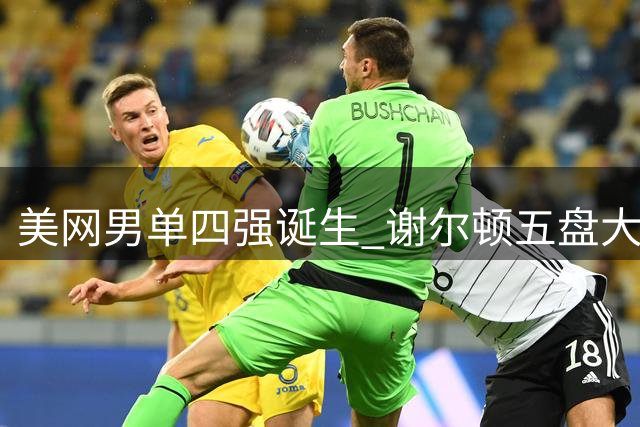 美网男单四强诞生 谢尔顿五盘大战力克阿尔卡拉斯